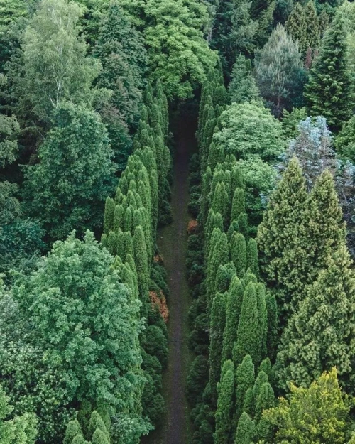 Арборетум - Дендрологічні парки, Львівська область, Страдч