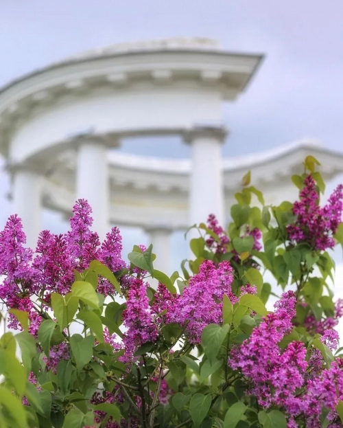 Біла альтанка - Скульптури, АРТ об'єкти, Полтавська область, Полтава