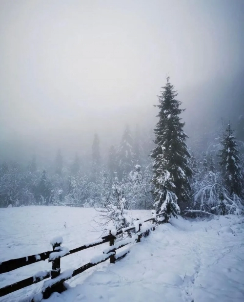 Гора Парашка - Гори, , Сколе