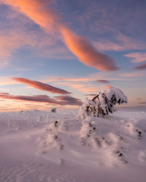 гора Синяк, Україна - Автор фотографії - nata_vashyna