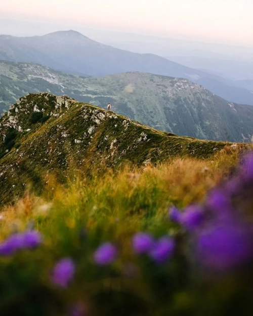 Гора Гутин Томнатик - Гори, , 