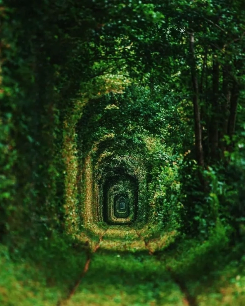 Тунель кохання, Клевань, Рівненська область