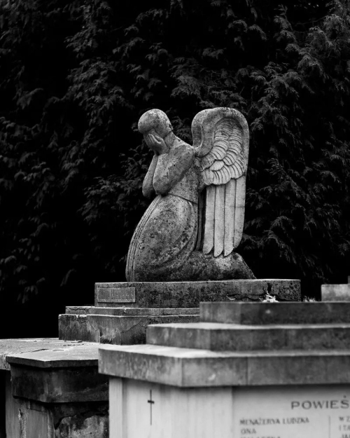 Личаківський цвинтар - Монументи, меморіали, Львівська область, Львів