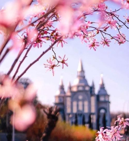 Озеро Миру - Озера, Вінницька область, Вінниця