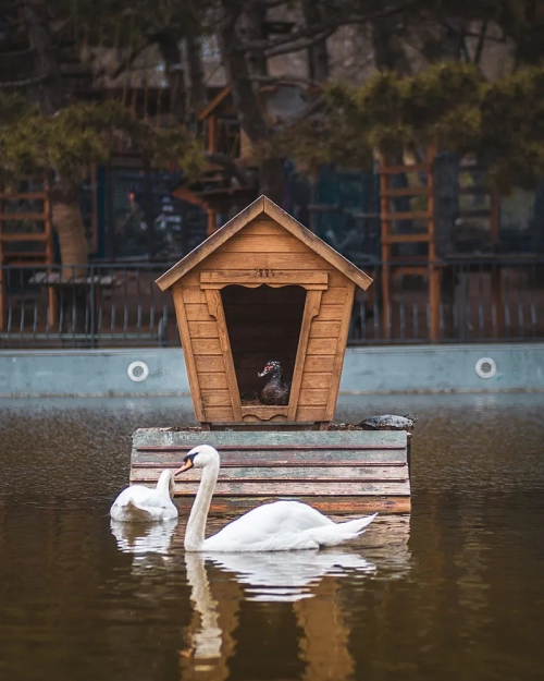 Дендропарк Перемоги - Парки, Одеська область, Одеса