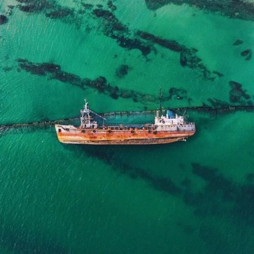 Пляж Дельфін - Пляжі, набережні , Одеська область, Одеса