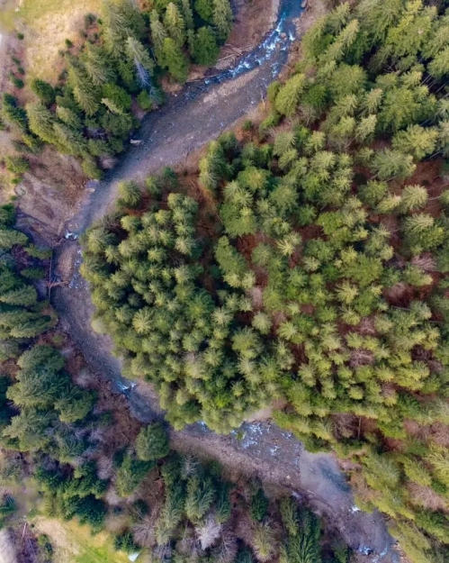 Річка Прут, Україна | Автор фотографії - vetal97pro