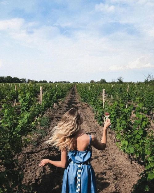 Винний завод «Коблево» - Виноробні, Миколаївська область, 