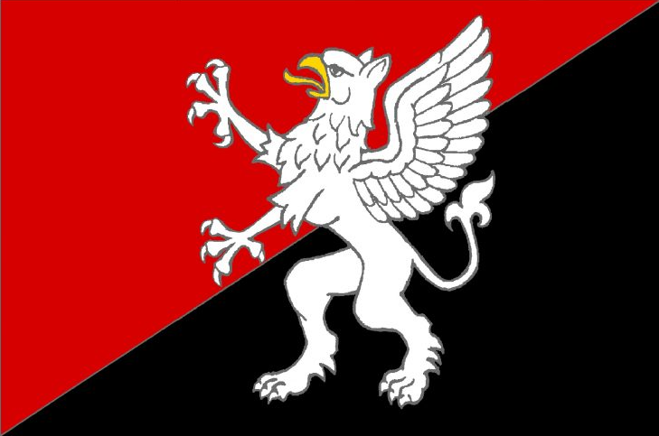 Прапор Червоноградський район
