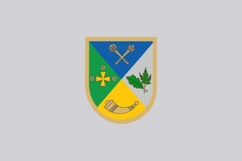 Прапор Шосткинський район